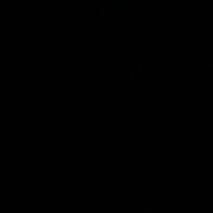 Meet your Posher, Jake